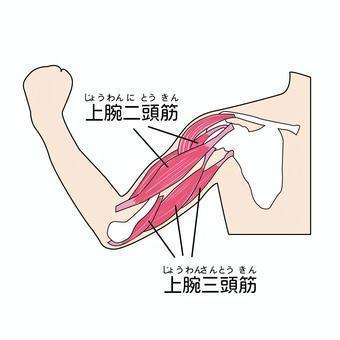 O脚X脚の解消、お任せ下さい！昭島市【腰痛専門整体室・欣令】